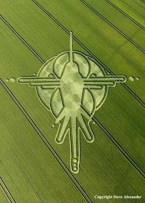 400 Best Crop Circles ideas | crop circle patterns on fields ...