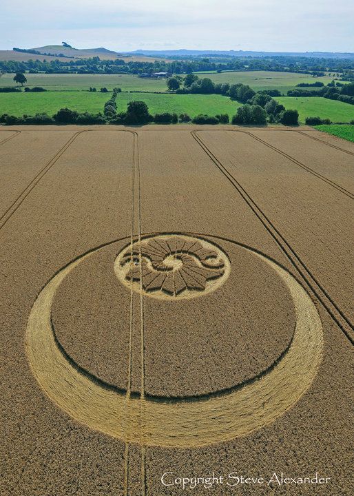 Discover 280 Crop circles and crop circle drawing ideas ideas ...
