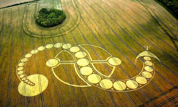 Nouveaux Crop Circles : Pays-Bas et Argentine