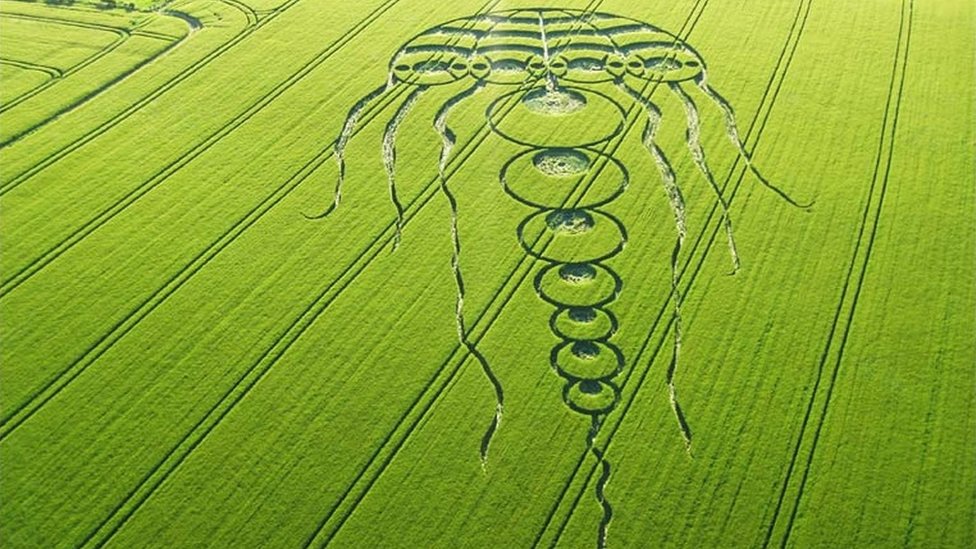 Nazca lines and other amazing Earth art seen from above ...