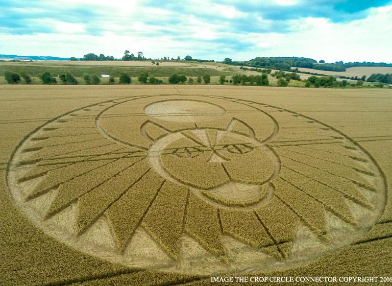 8 ideas de Crop circles | círculos de las cosechas, círculos ...
