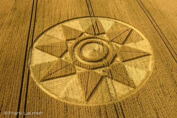 Reportan otro crop circle en Wiltshire representando una estrella de 8 puntas