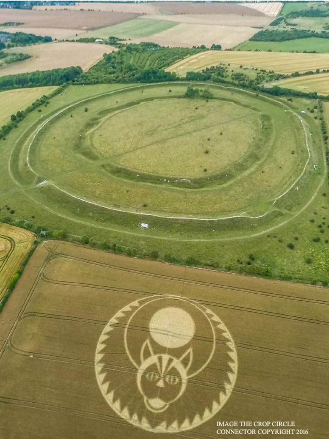 Có thể là hình ảnh về cỏ và văn bản cho biết 'IMAGE THE CROP IMAGETHECROPCIRCLE CIRCLE CONNECTOR COPYRIGHT2 CONNECTORCOPYRIGHT2 2016'