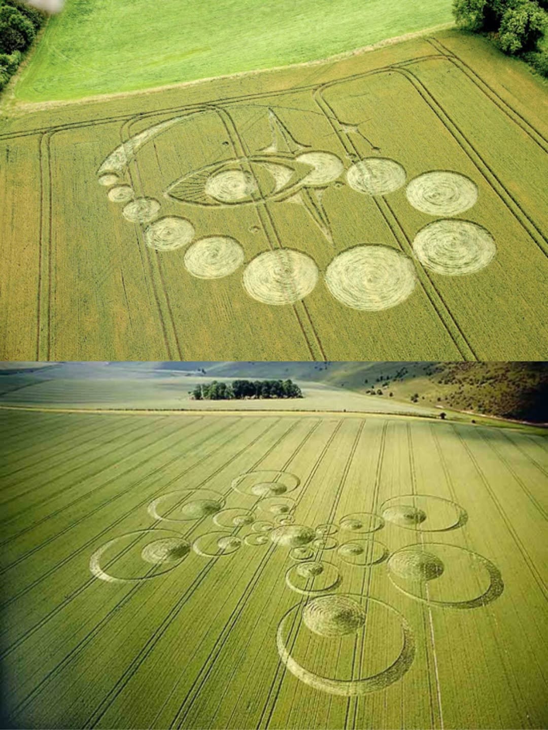 May be an image of combine, golf course, grᴀss and text
