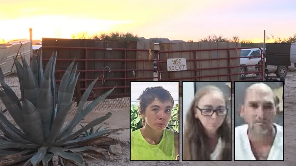 May be an image of agave and text that says '9150 NO NOEXIT NOEXIT EXIT'
