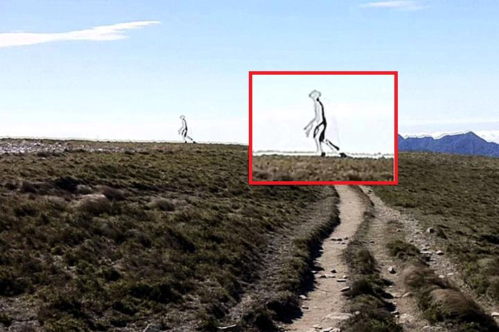 Jiaming Mantis Alien - in 2011, a Taiwanese police officer ...