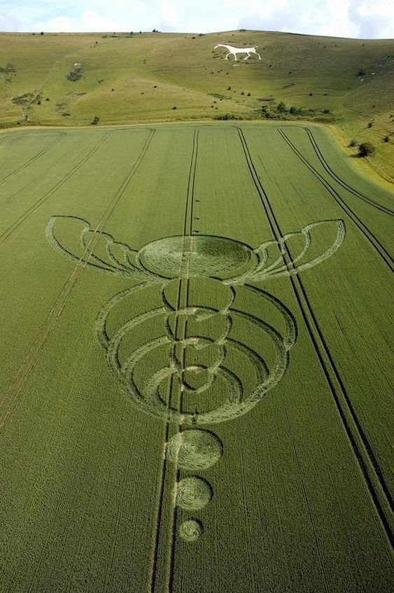 Whispers from the Sky: The Enduring Enigma of Aerial Anomalies and Earthly Glyphs Whispers from the Sky: The Enduring Enigma of Aerial Anomalies and Earthly Glyphs
